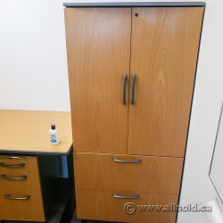 2 Door, 2 Drawer File and Storage Cabinet, Locking